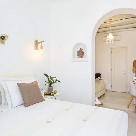 Anixis Hotel Naxos City